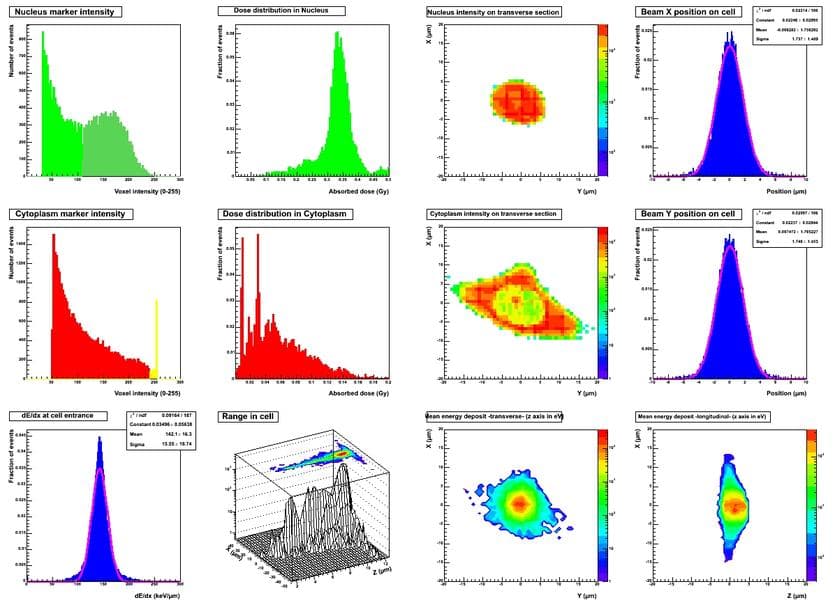 simulation results